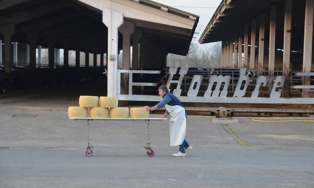 A man pushes 6 wheels of Parmigiano Reggiano cheese at the Hombre Farm near Modena, Italy.