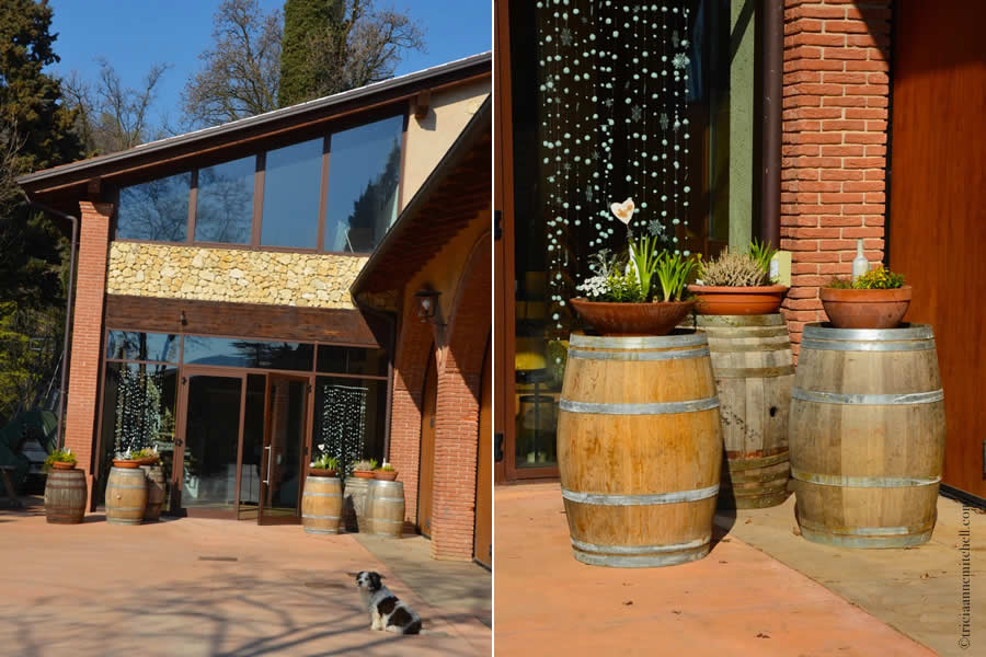 Massimago Wine Tasting Italy