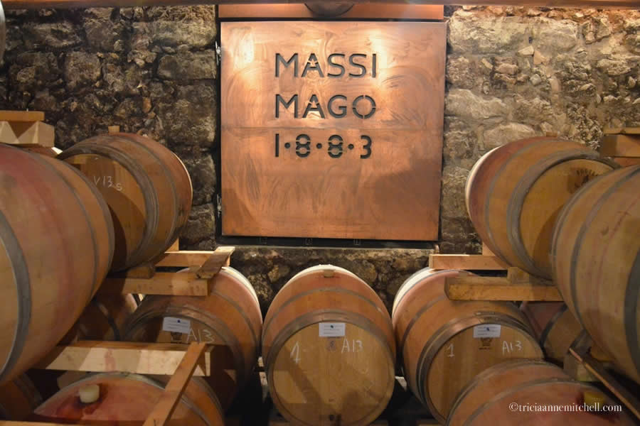 Massimago Winery Cellar