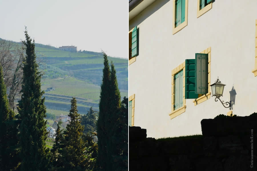 Massimago Winery Verona Italy