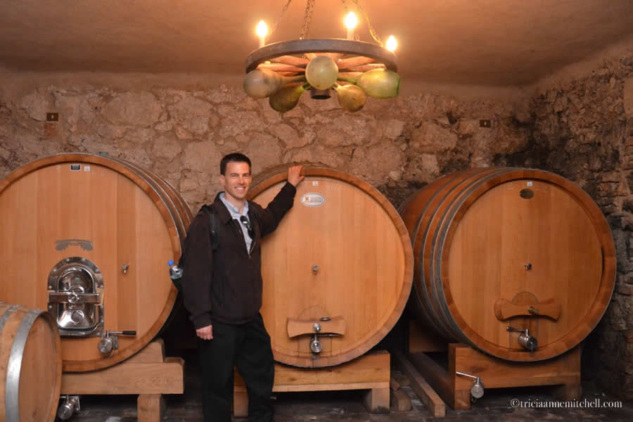 Shawn Massimago Wine Cellar