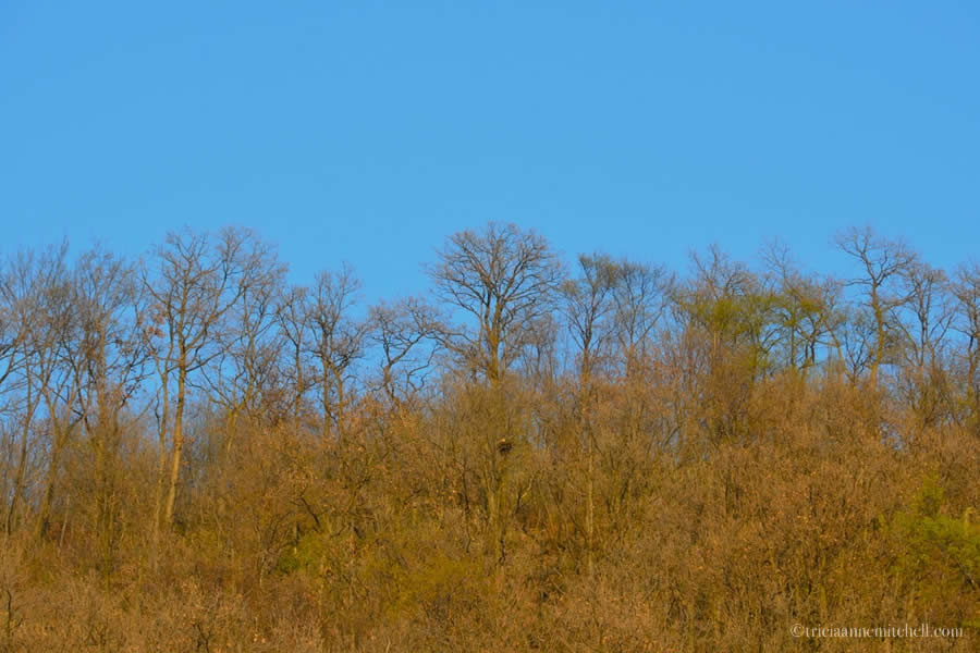 Valpolicella Valley wine tasting Verona