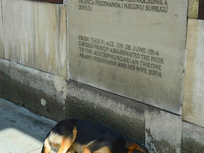 A Peaceful Nap in Sarajevo, 100 Years&nbsp;Later