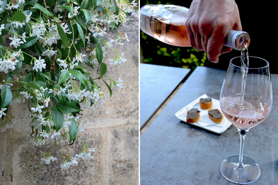 Tasting Rosé in Bordeaux