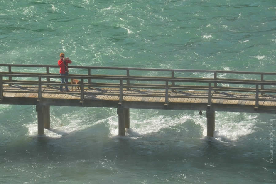A woman and a dog stand on a wooden bridge at Krka National Park.