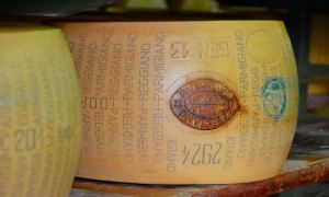 Two wheels of Parmigiano-Reggiano cheese sit on a shelf, aging at the Hombre Farm outside of Modena, Italy.