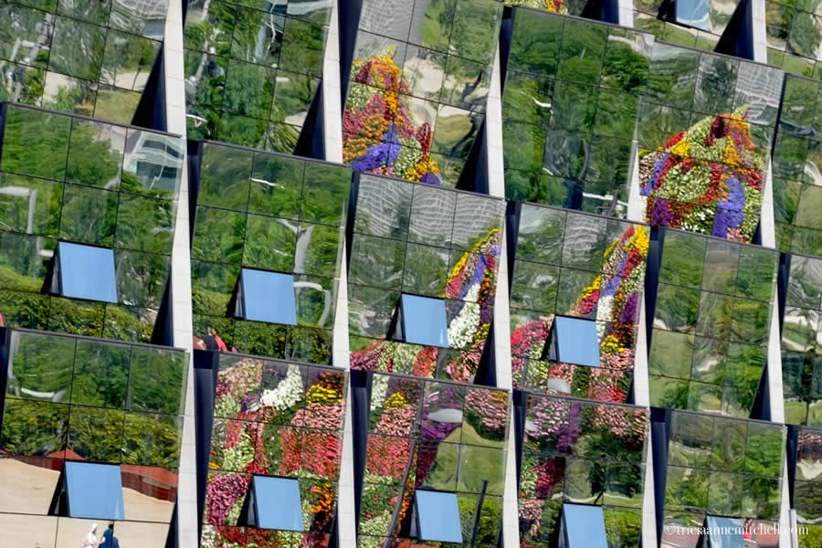 Puppy Topiary Reflection Guggenheim Bilbao