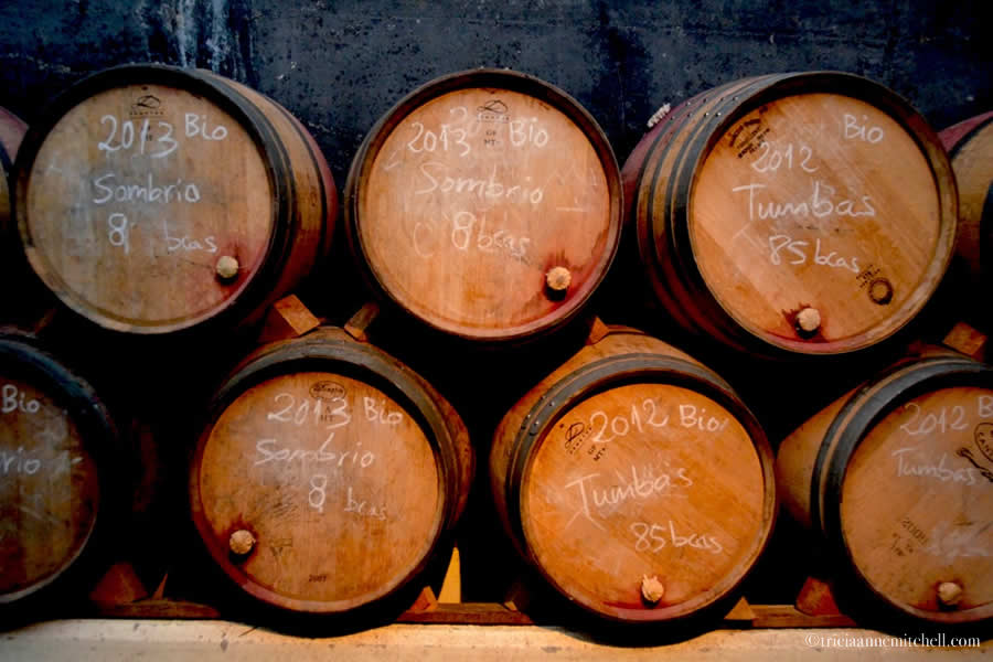 Remelluri Winery cellar