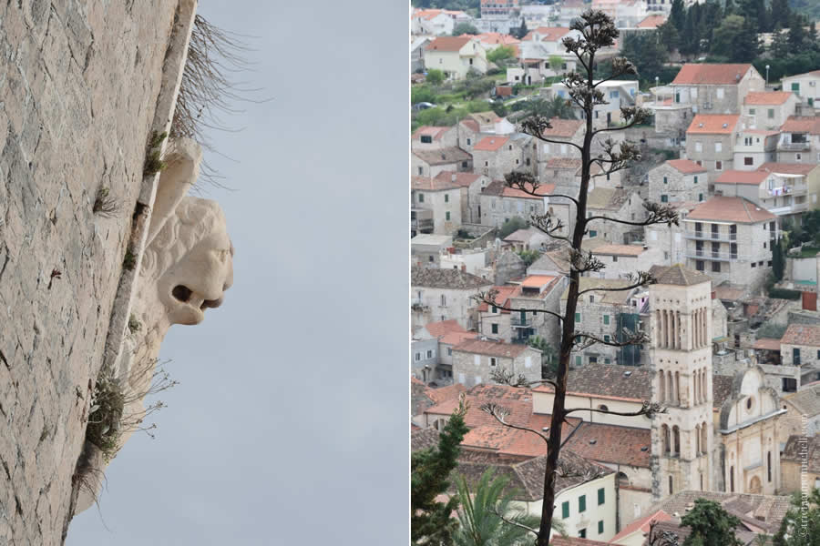 Hvar Winged Lion St. Mark