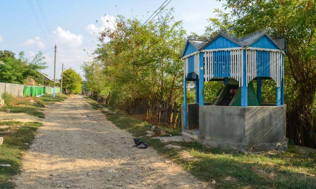 Dogs lounge alongside a dirt road and a blue and white wooden water well in a Molodovan village.