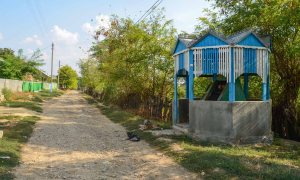 Dogs lounge alongside a dirt road and a blue and white wooden water well in a Molodovan village.