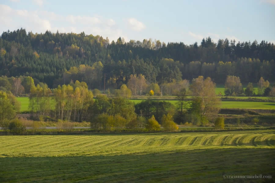 European countryside from train window