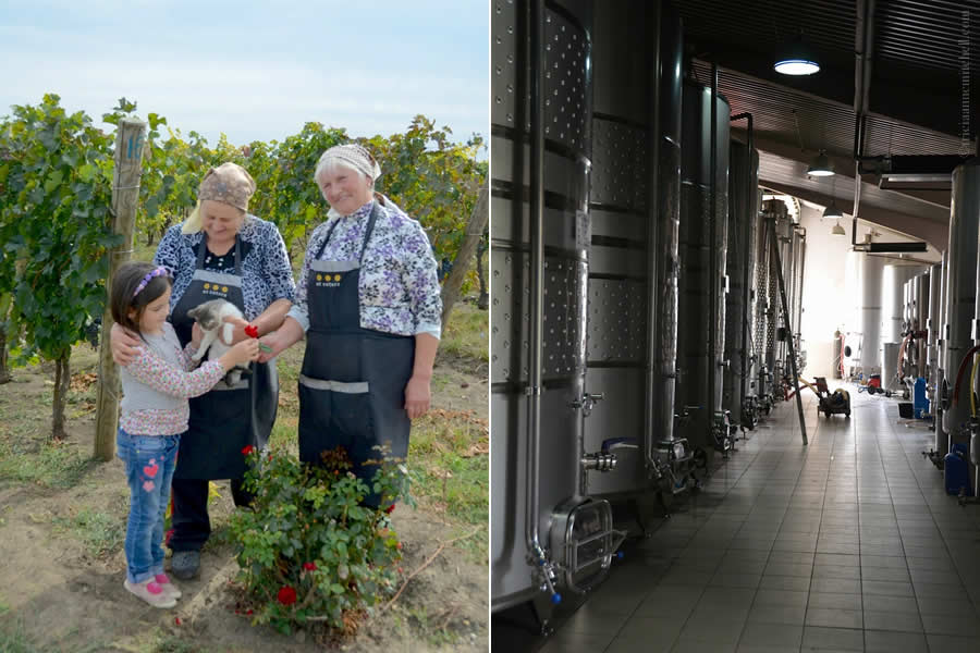Et Cetera Winery Moldova Family