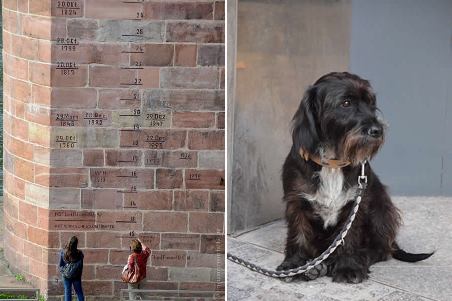 In the image on the left, women look at historic flood markers on a Heidelberg bridge wall. On the right a black and white dog, tethered to a building, watches people pass by on the Hauptrasse.