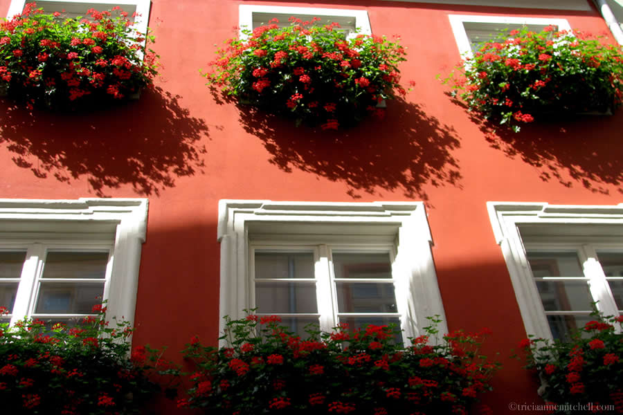 Windowboxes with red flowers decorate the front of  a red building in Heidelberg, Germany's Old Town.