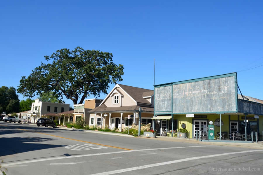 Los Olivos Wine Tasting Santa Ynez