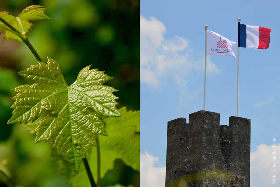 Grape Leaf and King's Tower Saint Emilion Bordeaux
