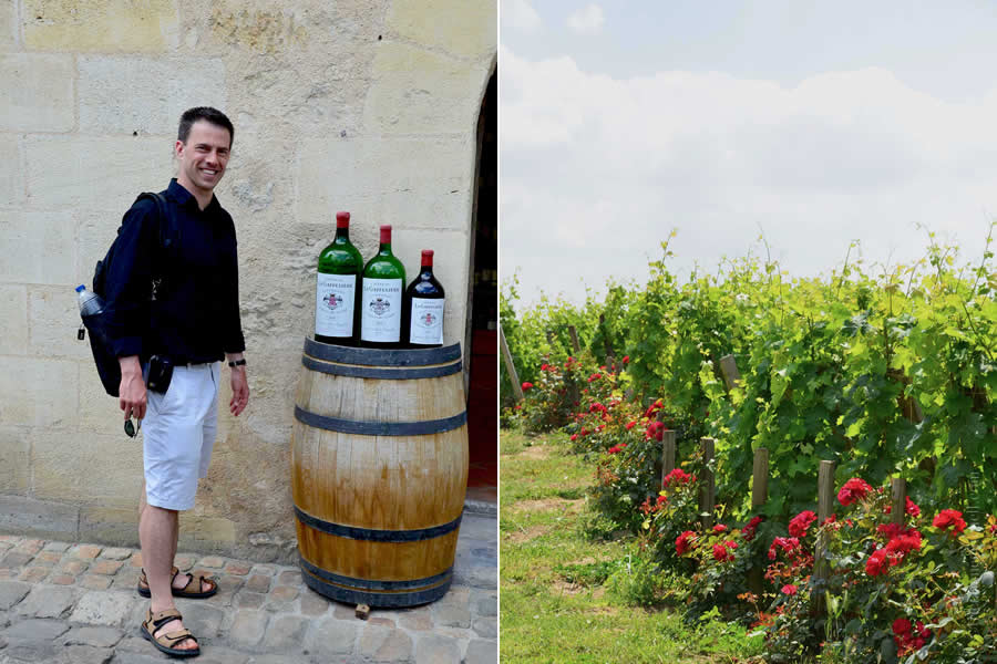Saint Emilion Bordeaux Wine for Sale Vineyards