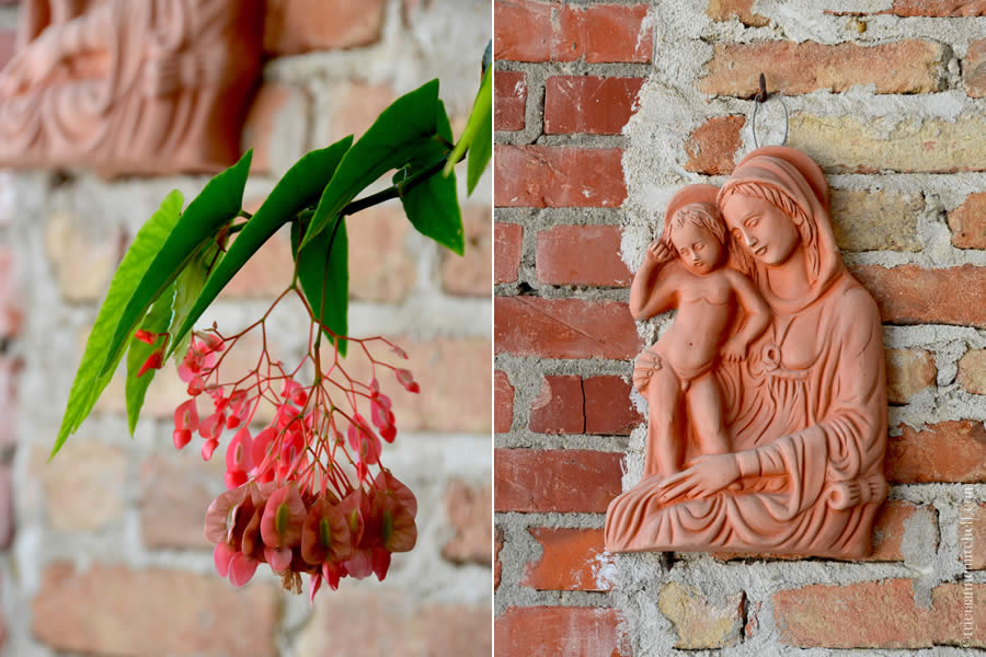 Erede di Chiappone Armando Winery Piemonte