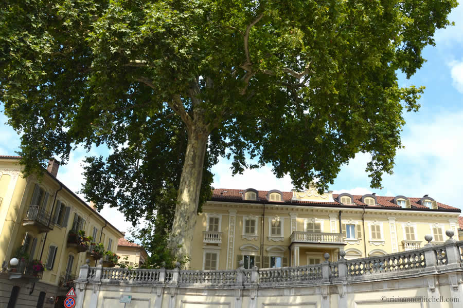 Palazzo Alfieri Asti