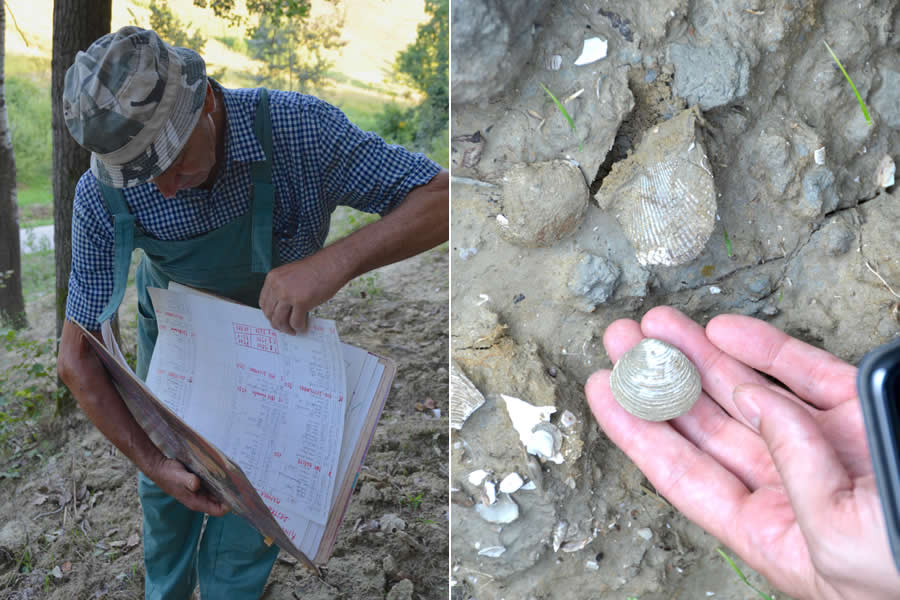 Tartafuia Dog and Truffle Hunter Piemonte
