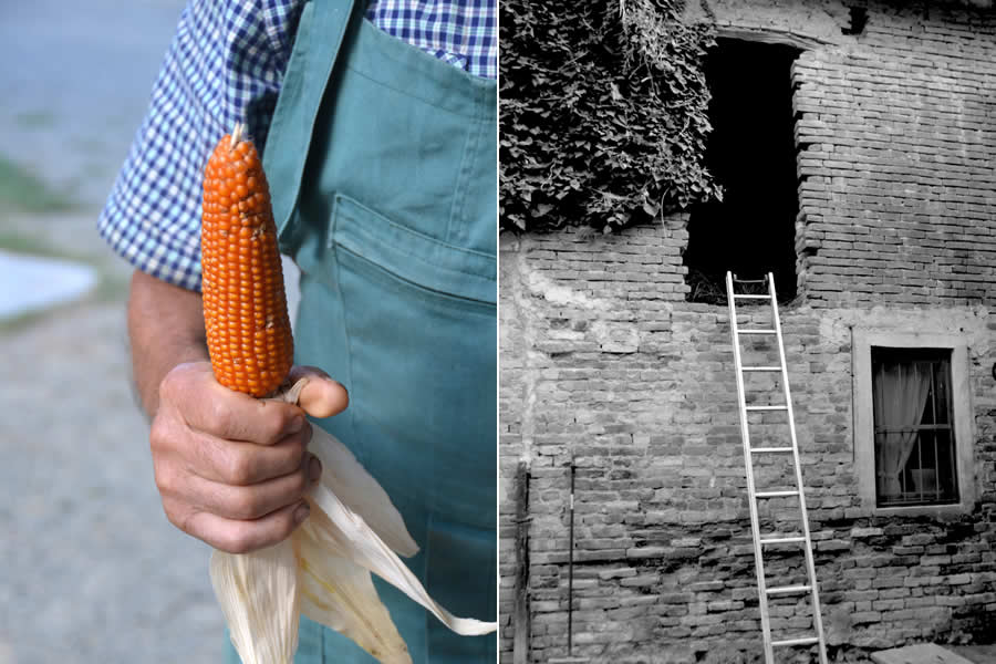 Truffle Hunter Agriturismo Piemonte