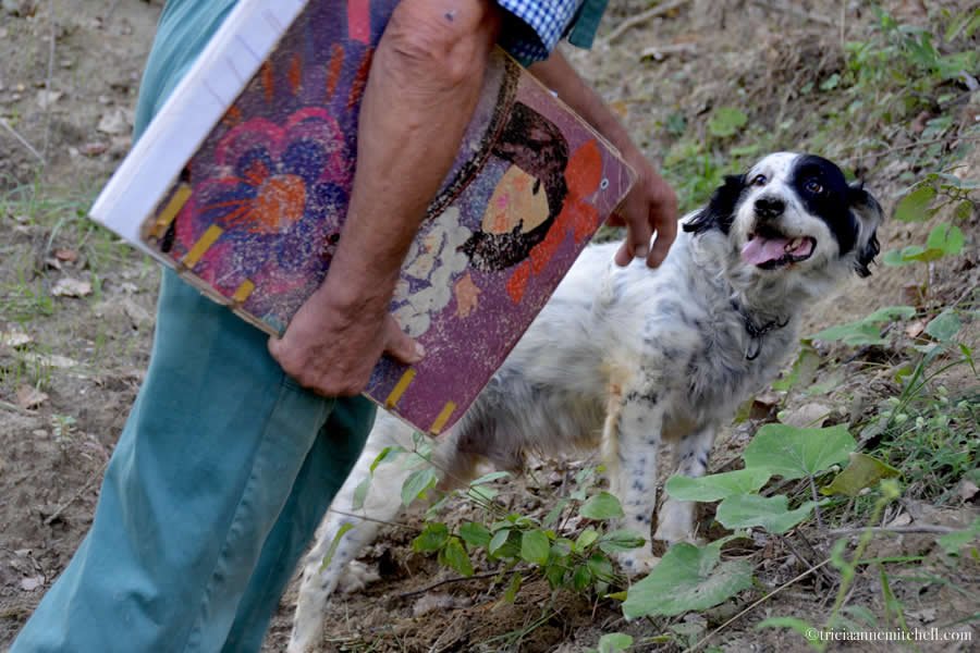 Truffle Hunter Dog Piedmont Italy