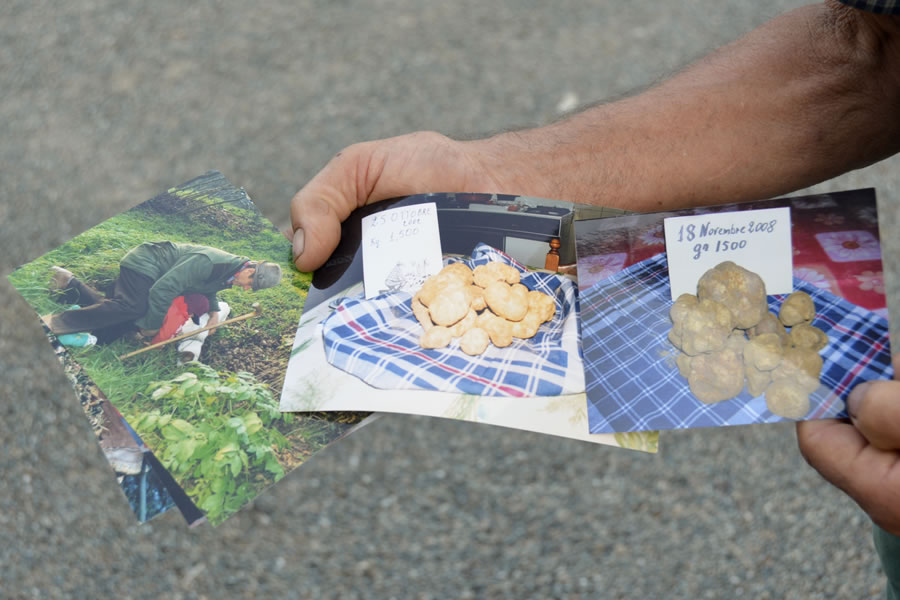 Truffle Hunter Monferrato