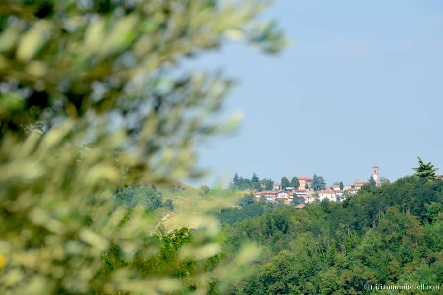 View from Comune di Castelnuovo Calcea