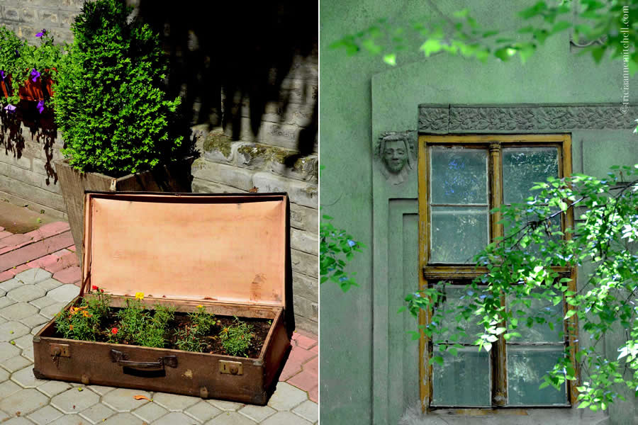 Subotica Serbia Architecture Suitcase with Flowers