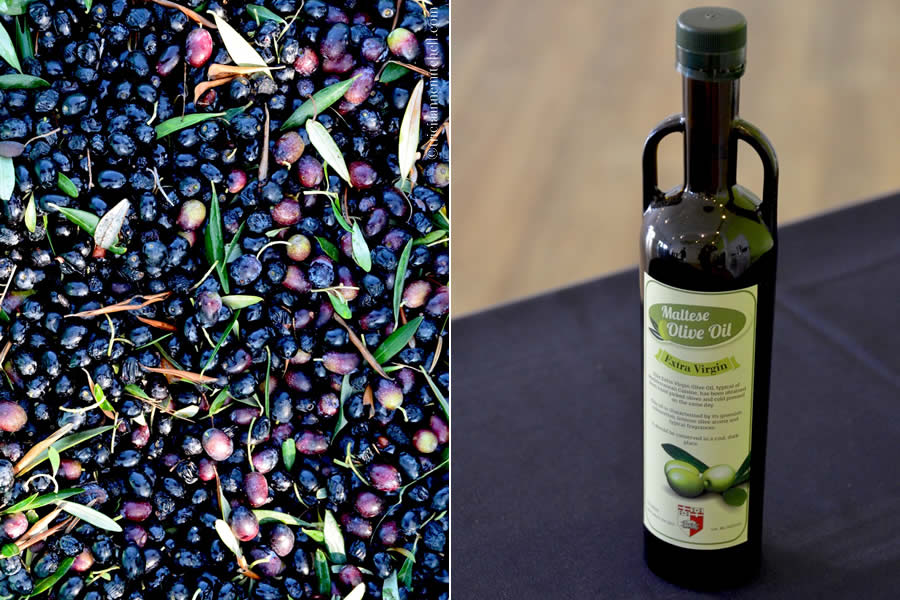A basket of purple olives on the left, and a bottle of olive oil on the right.