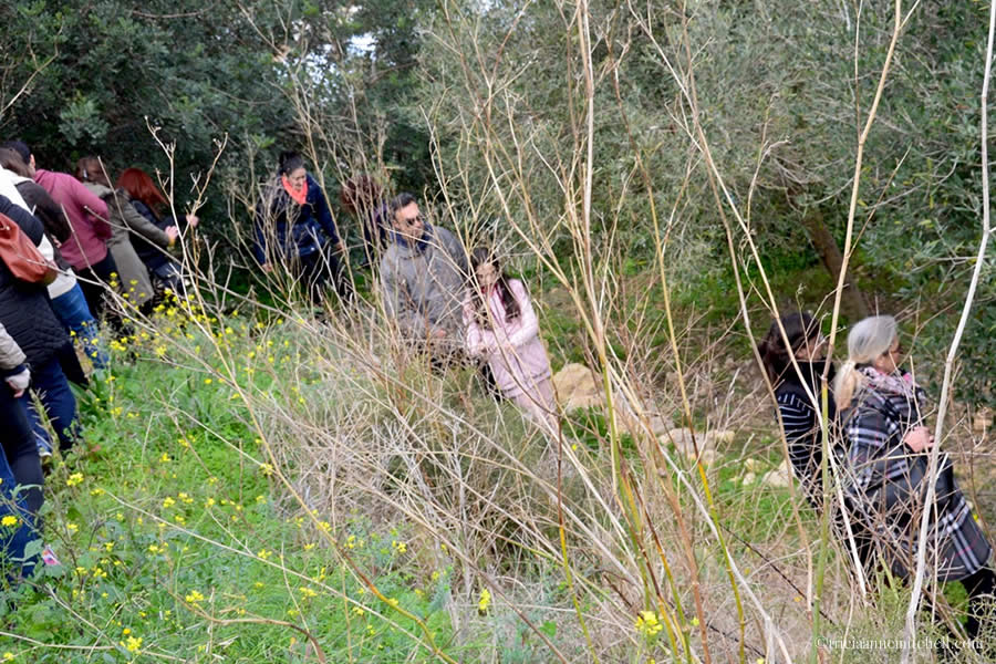Ecotour group in Maltese countryside