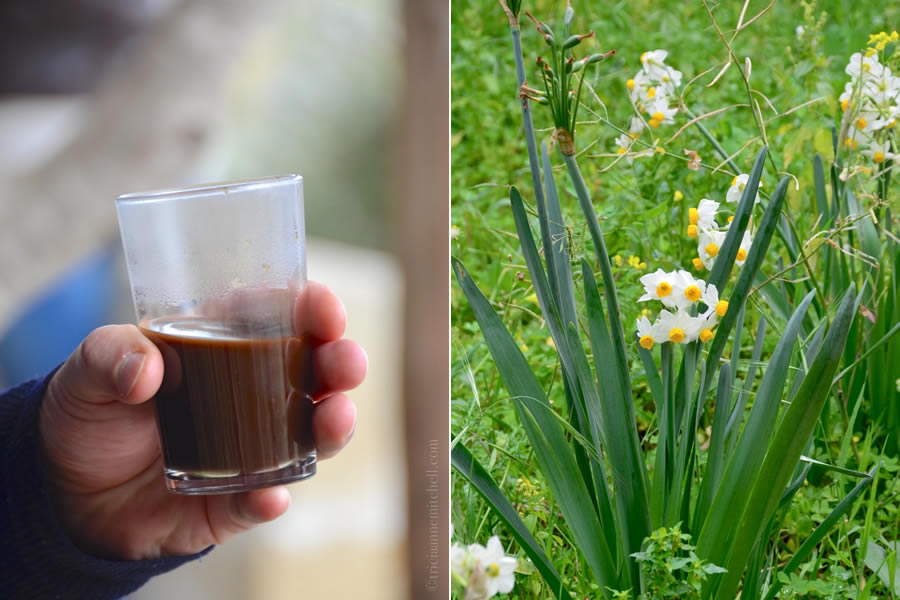 Glass of Maltese coffee and flowers in garden