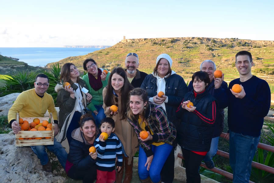 Harvesting Oranges Merill Ecotour