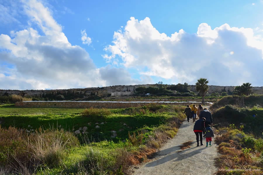 Malta Citrus Harvest Eco Tour