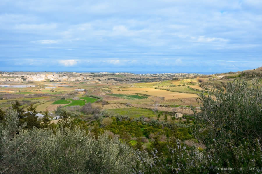 Maltese Countryside