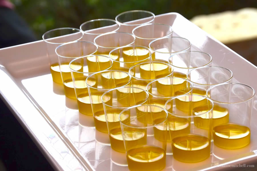 Olive Oil Tasting Malta