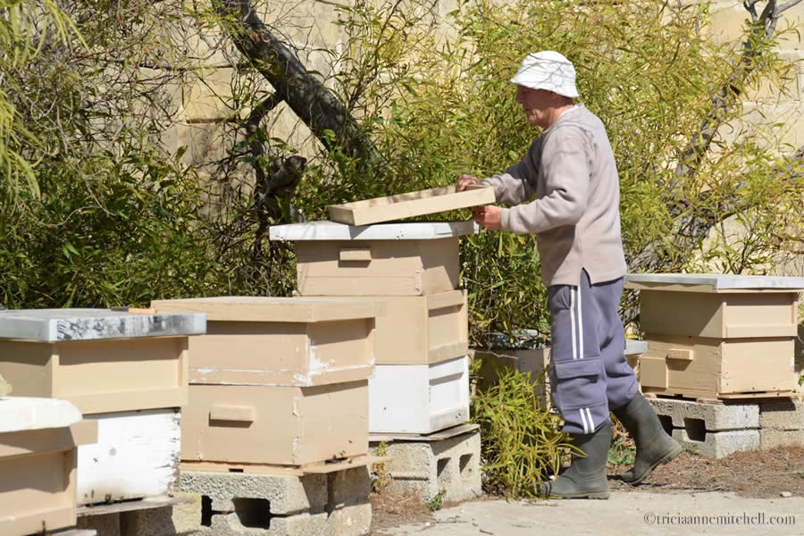 Malta Beekeeper Michael Muscat