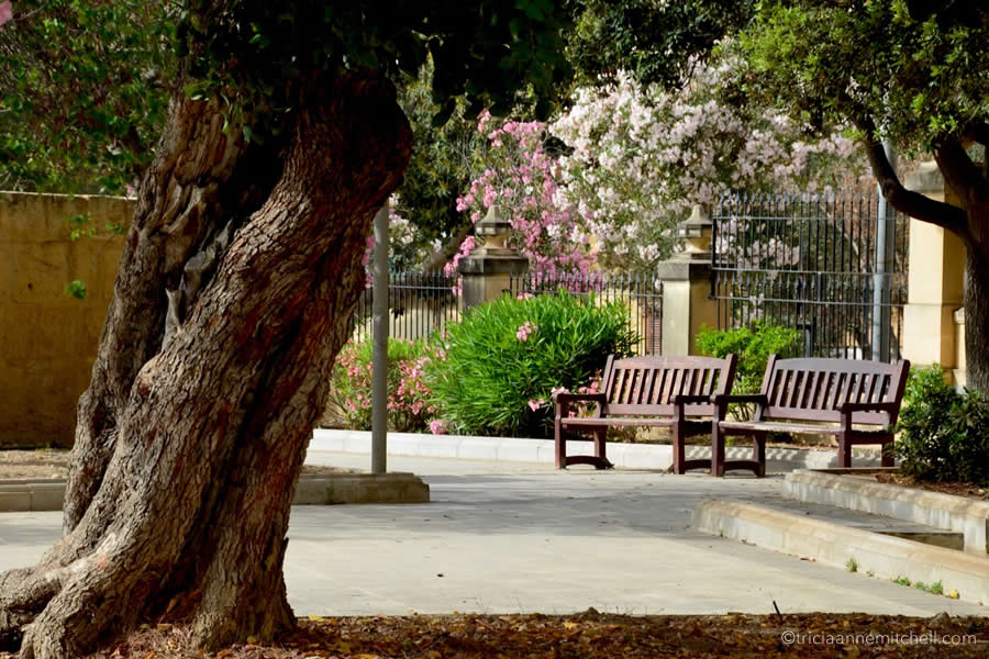 Hastings Garden Valletta Malta