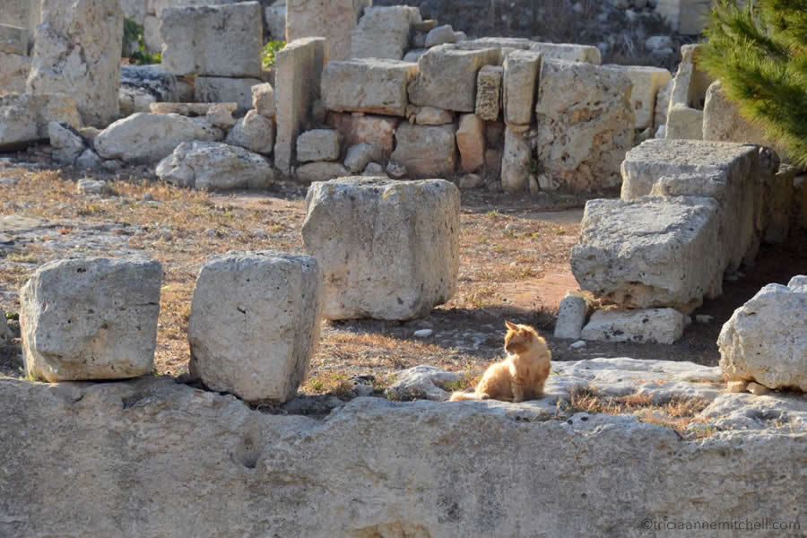 Domus Romana Roman ruins Rabat Mdina Malta