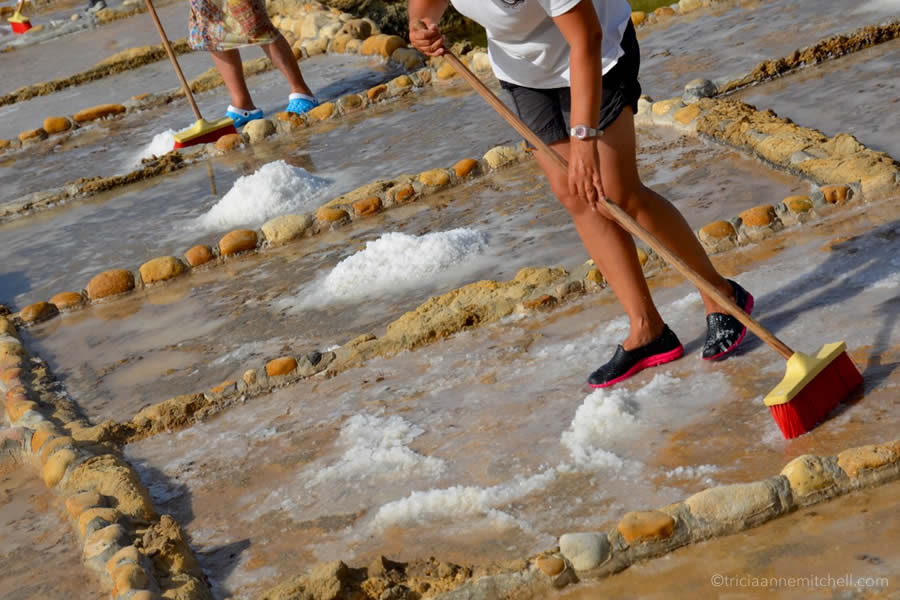 Raking Sea Salt Pans Gozo Malta Mediterranean