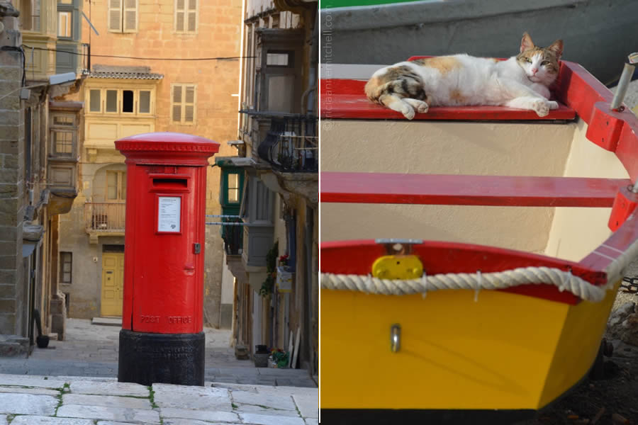 valletta-post-box-cat-malta