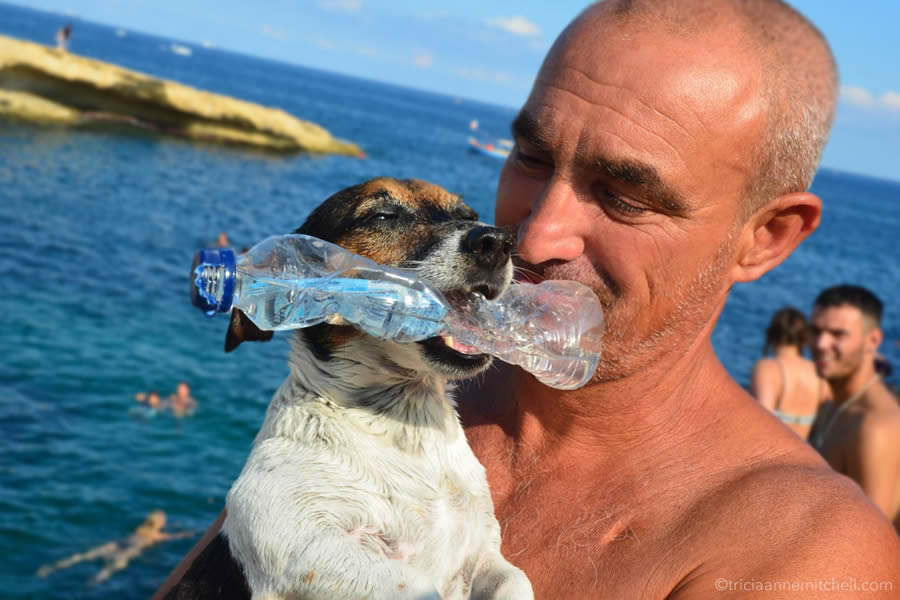 carmelo-titti-diving-dog-malta