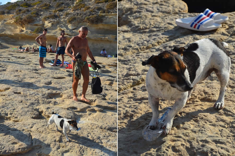 st-peters-pool-delimara-malta-carmelo-and-titti-dog-diving