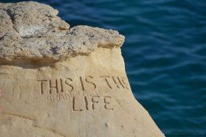 Malta’s Cliff-Diving Dog Captures Hearts Around the World – Travels ...