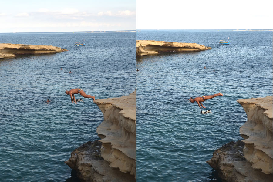 Malta’s Cliff-Diving Dog Captures Hearts Around the World – Travels ...