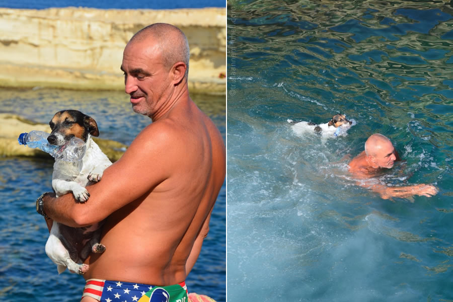 titti-diving-dog-carmelo-delimara-malta