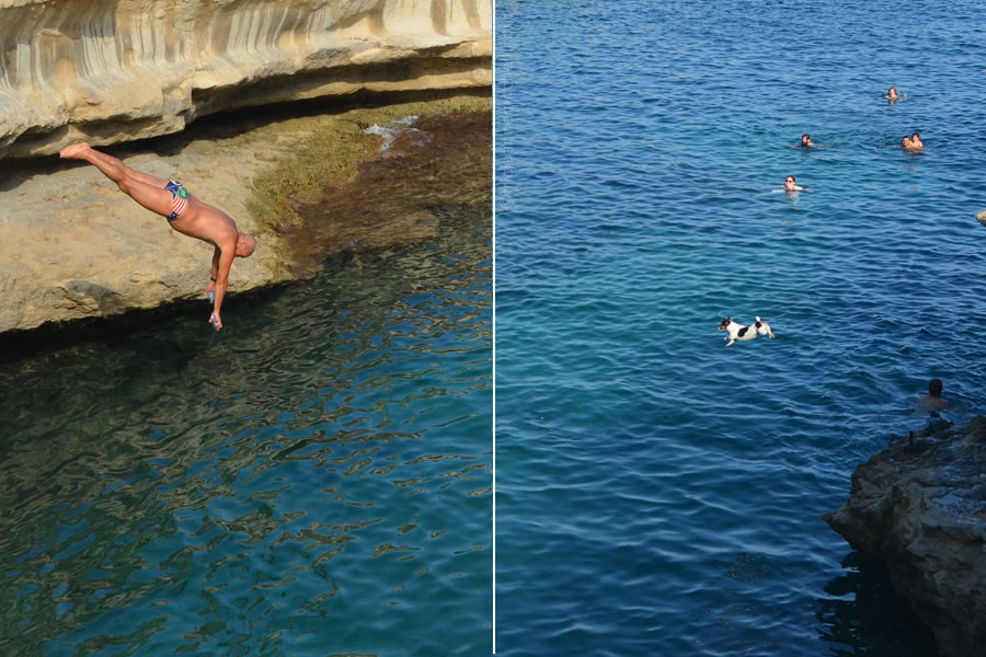 titti-diving-dog-carmelo-delimara-malta