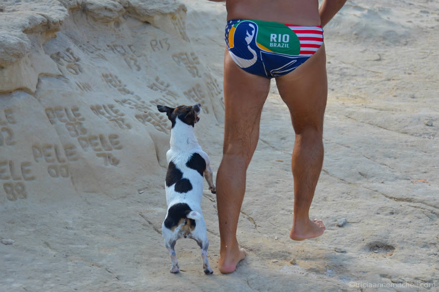 titti-diving-dog-malta-with-carmelo