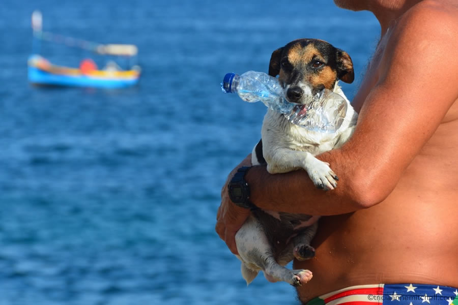 Shades of Blue: Capturing the Island of Malta in Azure & Indigo ...